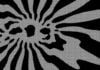 RABID BYTE